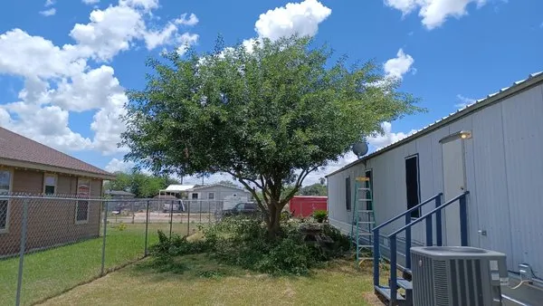 Lawn & Order Lawn Care Service Logo