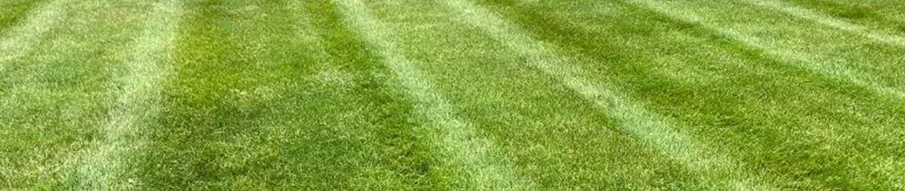 Affordable residential landscaping experts serving Valparaiso, IN - Lawn & Order Lawn Care