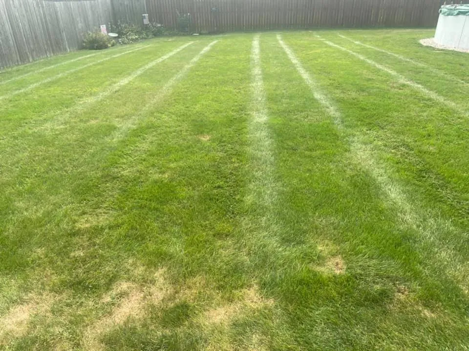 Local landscaping services in Valparaiso, IN by Lawn & Order Lawn Care