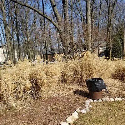 Top-rated yard cleanup service for year-round maintenance across Valparaiso, IN - Lawn & Order Lawn Care