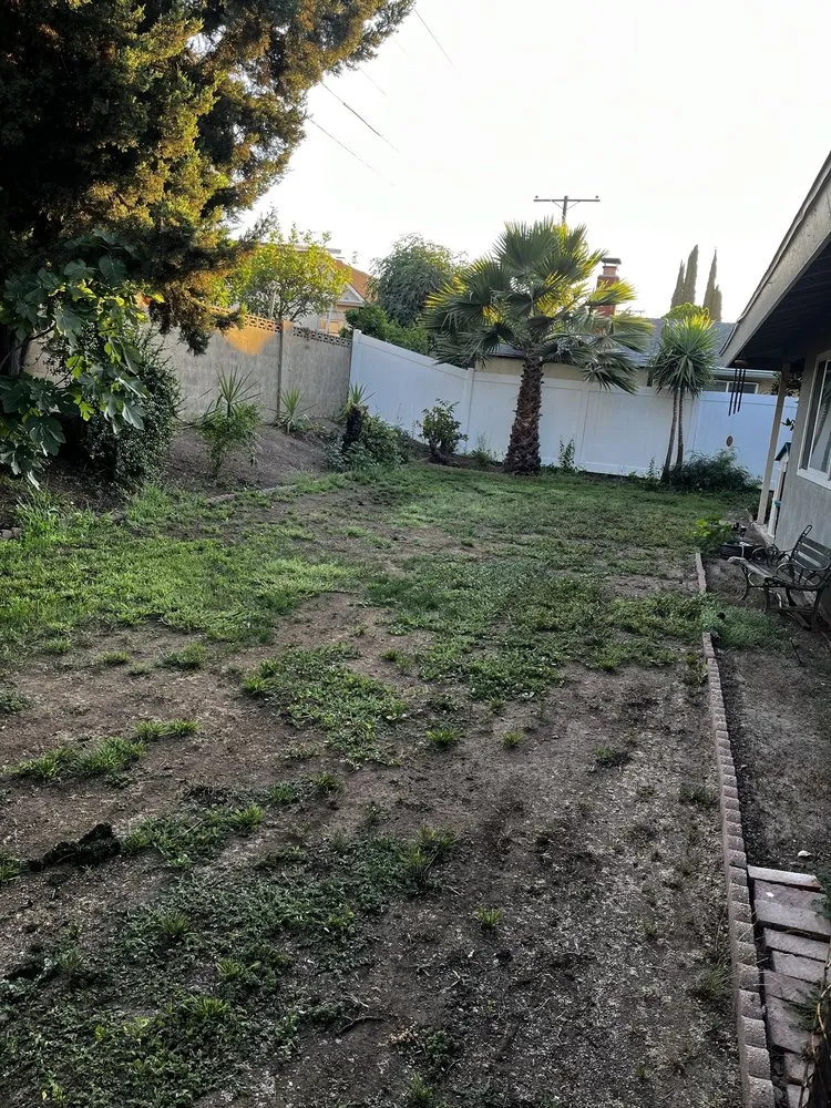 Top-rated landscape design in Corona, CA by Lawn & Order Lawncare/Exterior Services