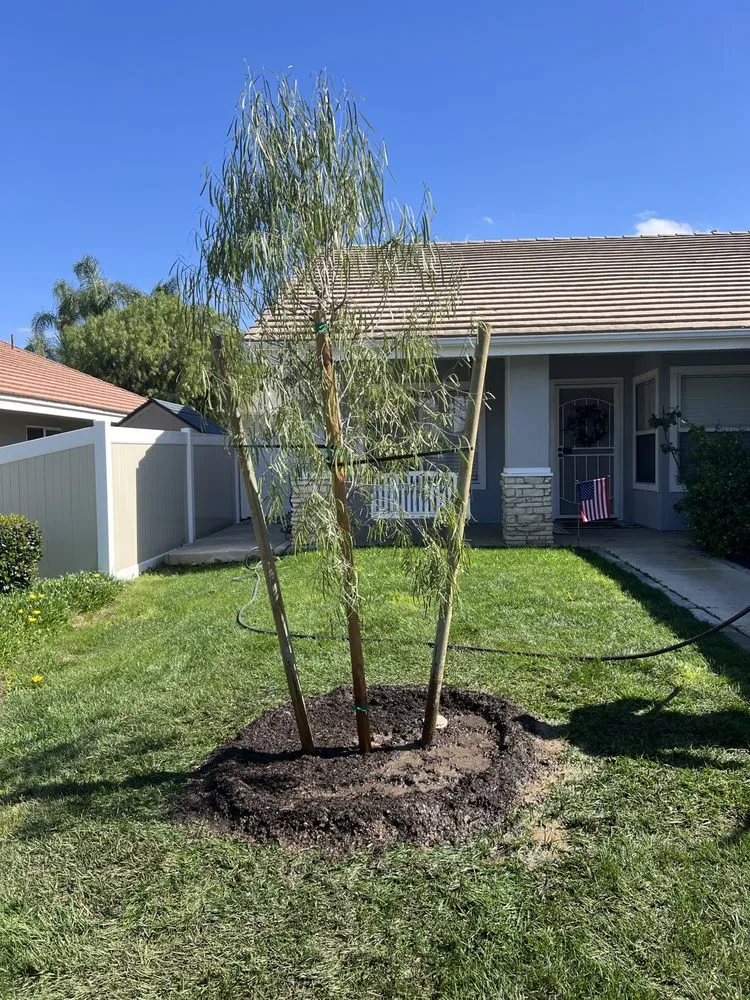 Trusted landscaping services for homes across Corona, CA - Lawn & Order Lawncare/Exterior Services