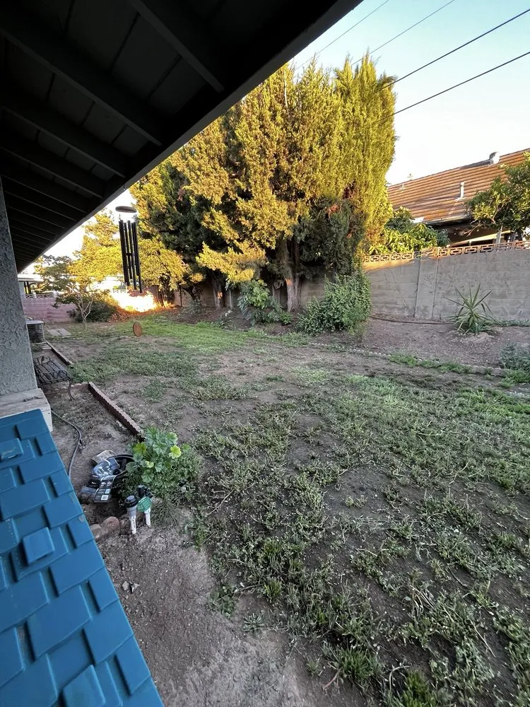 Top-rated yard maintenance in Corona, CA - Lawn & Order Lawncare/Exterior Services