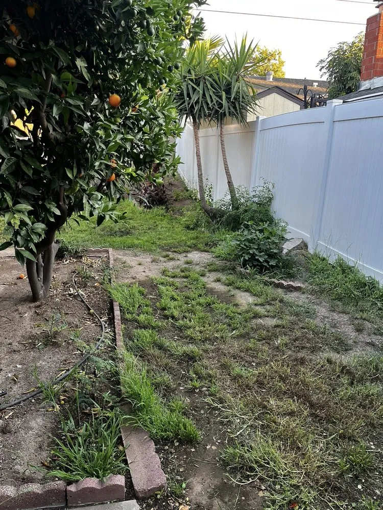 Professional landscaping services in Corona, CA by Lawn & Order Lawncare/Exterior Services