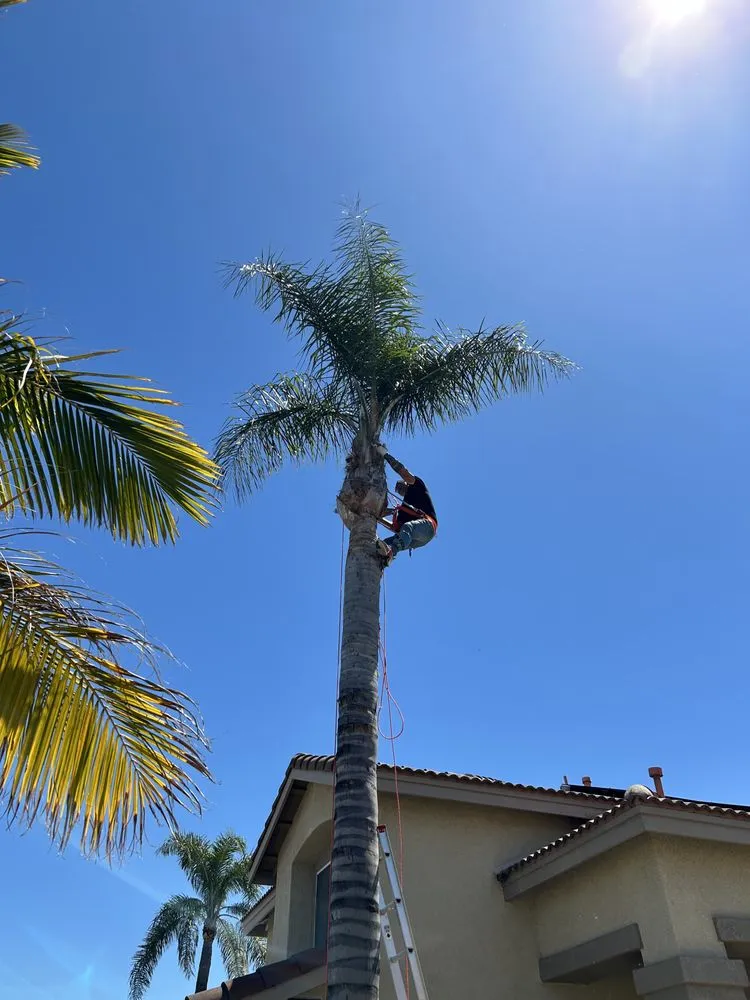 Custom lawn care service for residential properties across Corona, CA - Lawn & Order Lawncare/Exterior Services