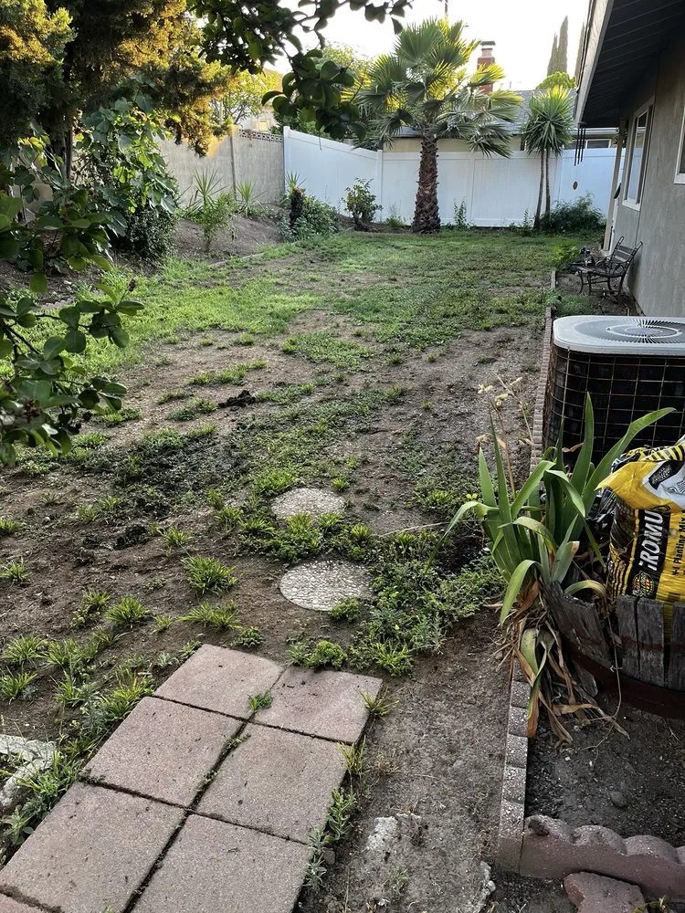 Reliable landscape design in Corona, CA - Lawn & Order Lawncare/Exterior Services