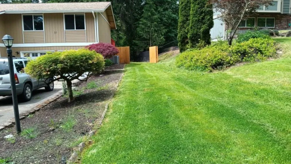 Top-rated lawn mowing service in Longview, WA - Lawn & Order