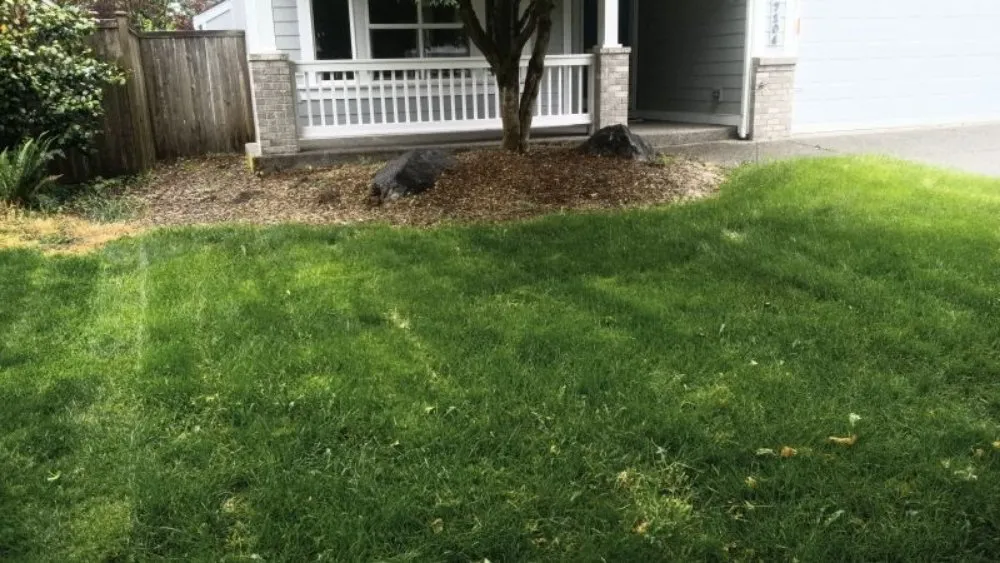 Trusted residential landscaping in Longview, WA - Lawn & Order