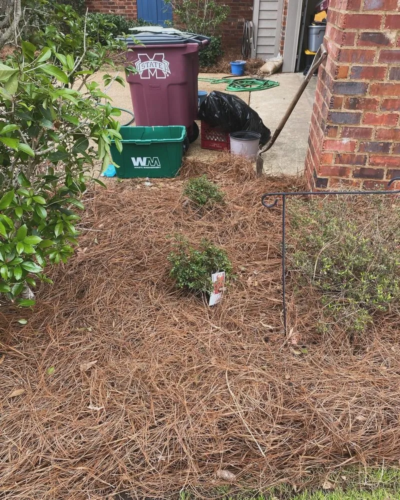 Custom lawn care service for year-round maintenance across Madison, MS - Lawn & Order