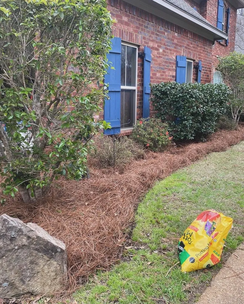 Professional landscape installation for beautiful yards across Madison, MS - Lawn & Order