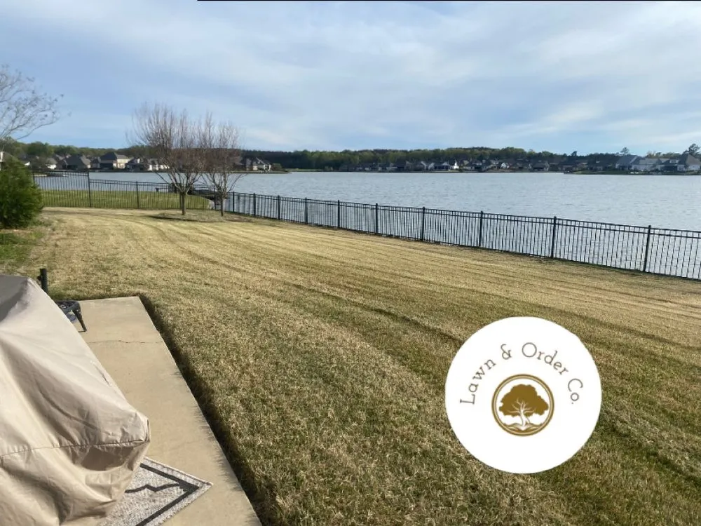 Trusted yard cleanup service in Madison, MS - Lawn & Order