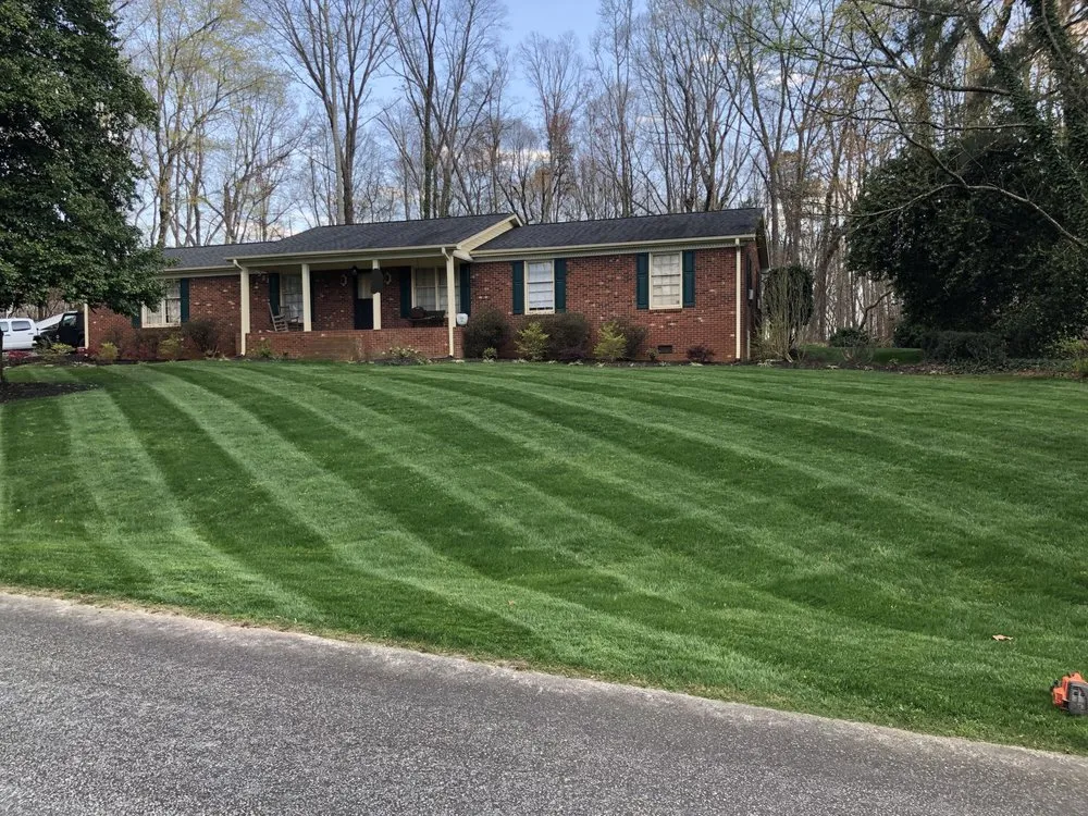 Professional yard cleanup service for year-round maintenance across Madison, NC - Lawn & Order