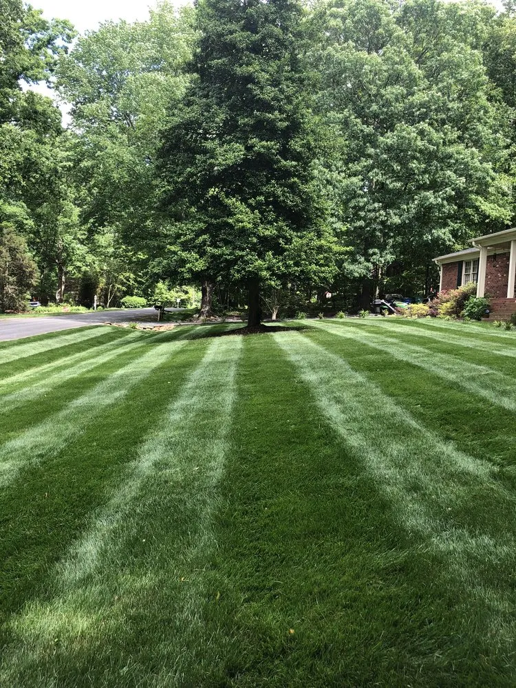 Reliable yard maintenance for outdoor upgrades in Madison, NC by Lawn & Order