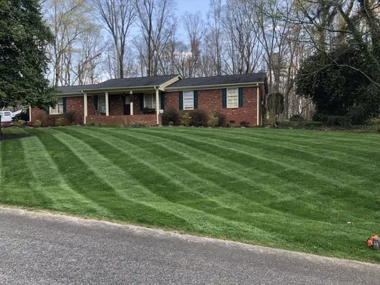 Lawn & Order