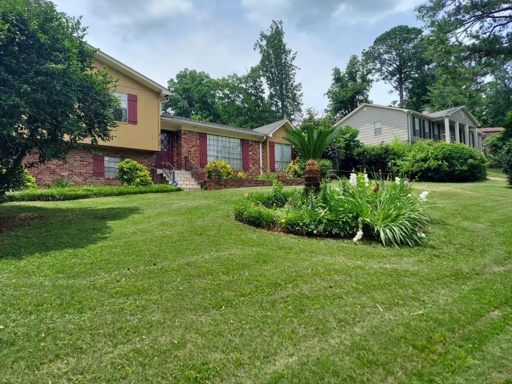 Expert yard maintenance experts serving Oneonta, AL - Lawn & Order