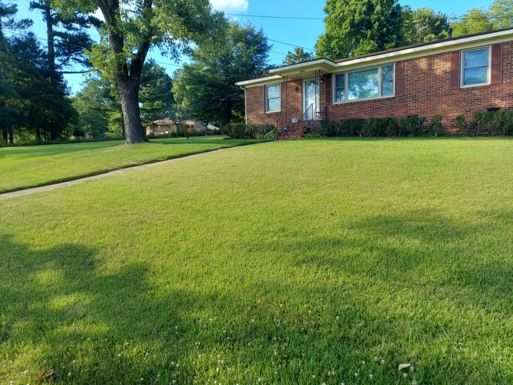 Affordable landscaping services in Oneonta, AL by Lawn & Order