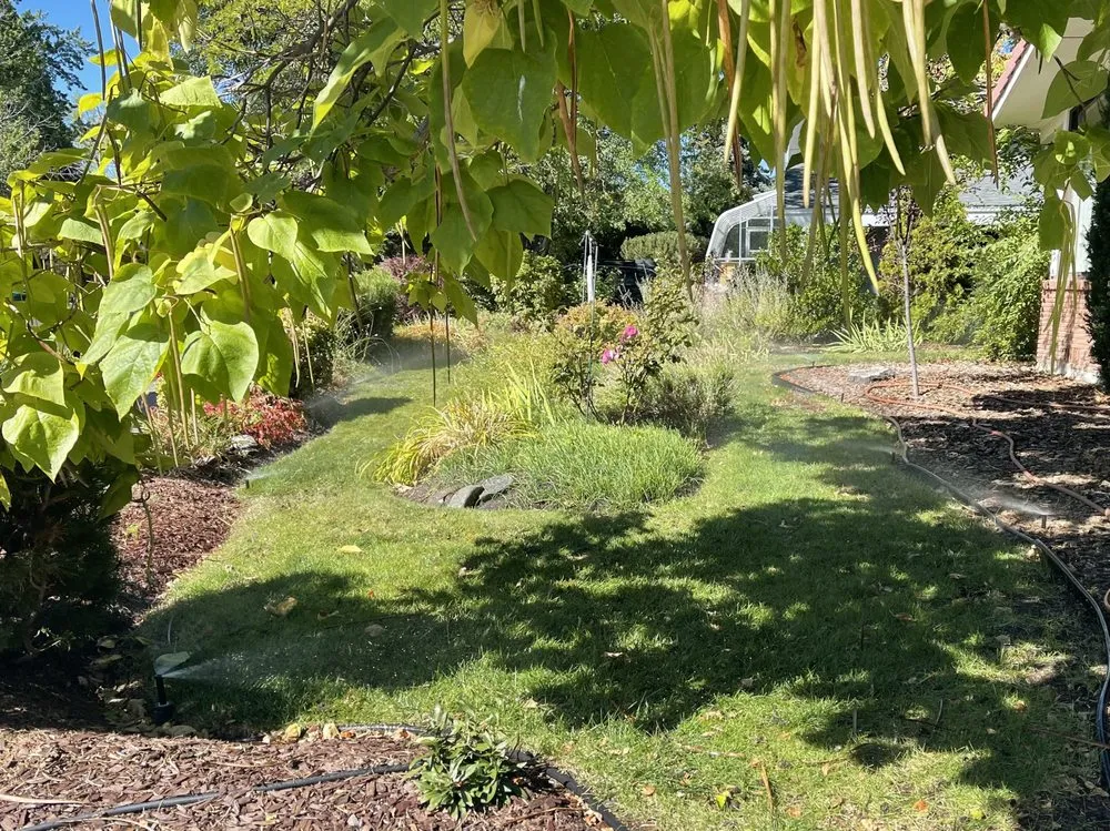 Professional outdoor landscaping in Reno, NV by Lawn & Order