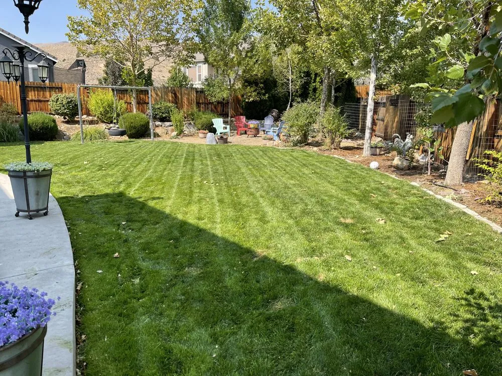 Professional garden landscaping for year-round maintenance across Reno, NV - Lawn & Order