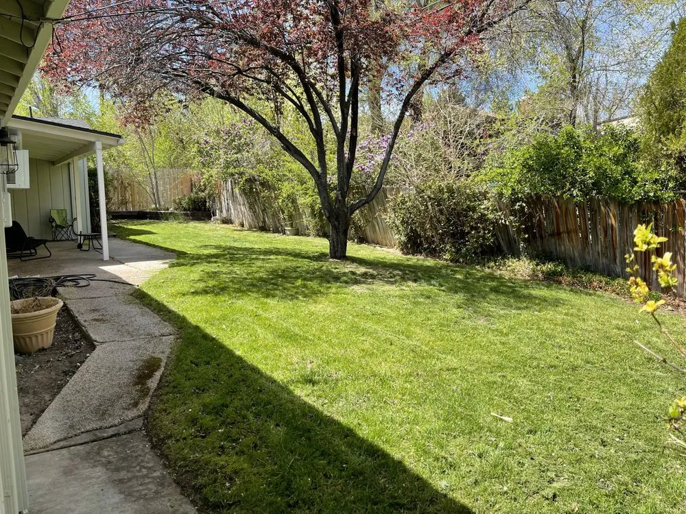 Reliable landscaping services in Reno, NV - Lawn & Order