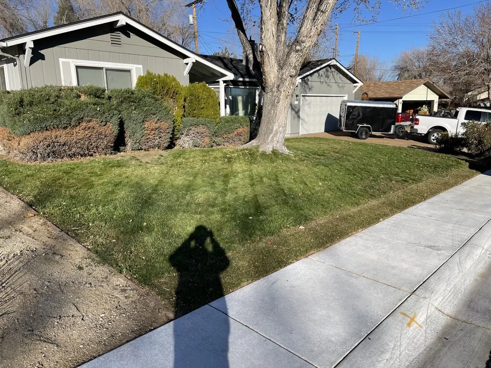 Reliable lawn mowing service in Reno, NV - Lawn & Order
