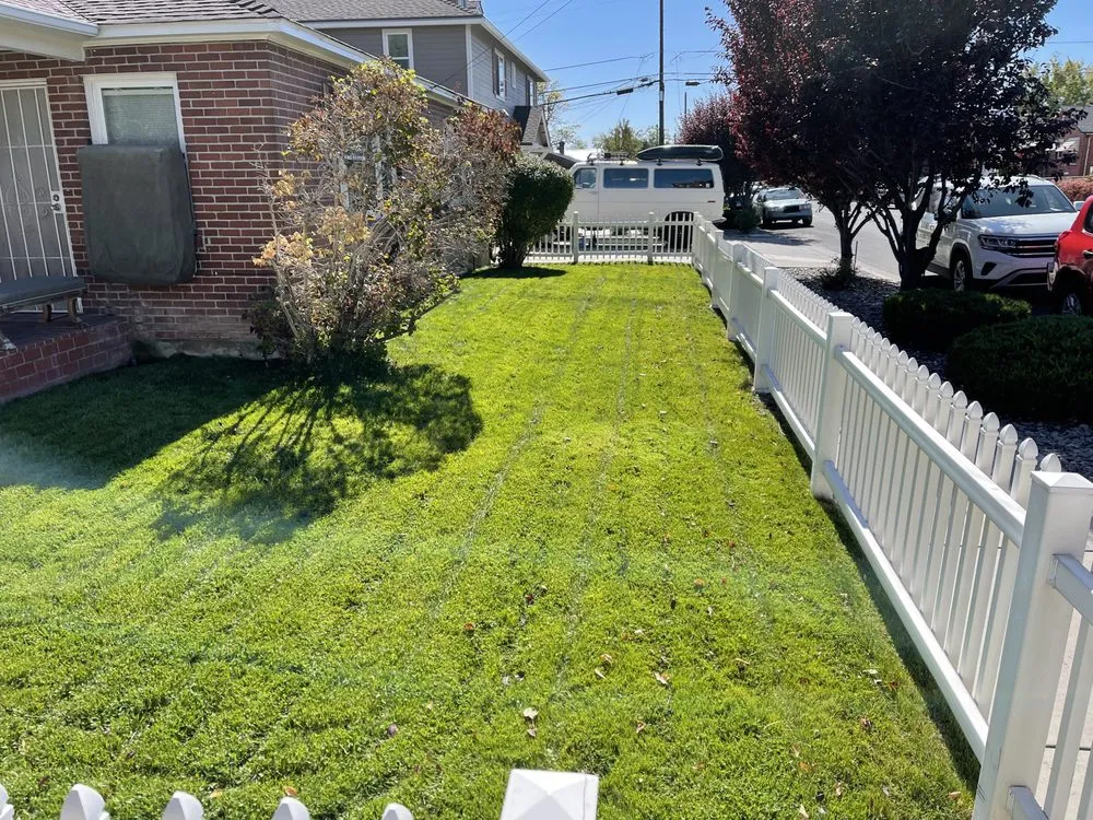Custom lawn mowing service with custom design across Reno, NV - Lawn & Order