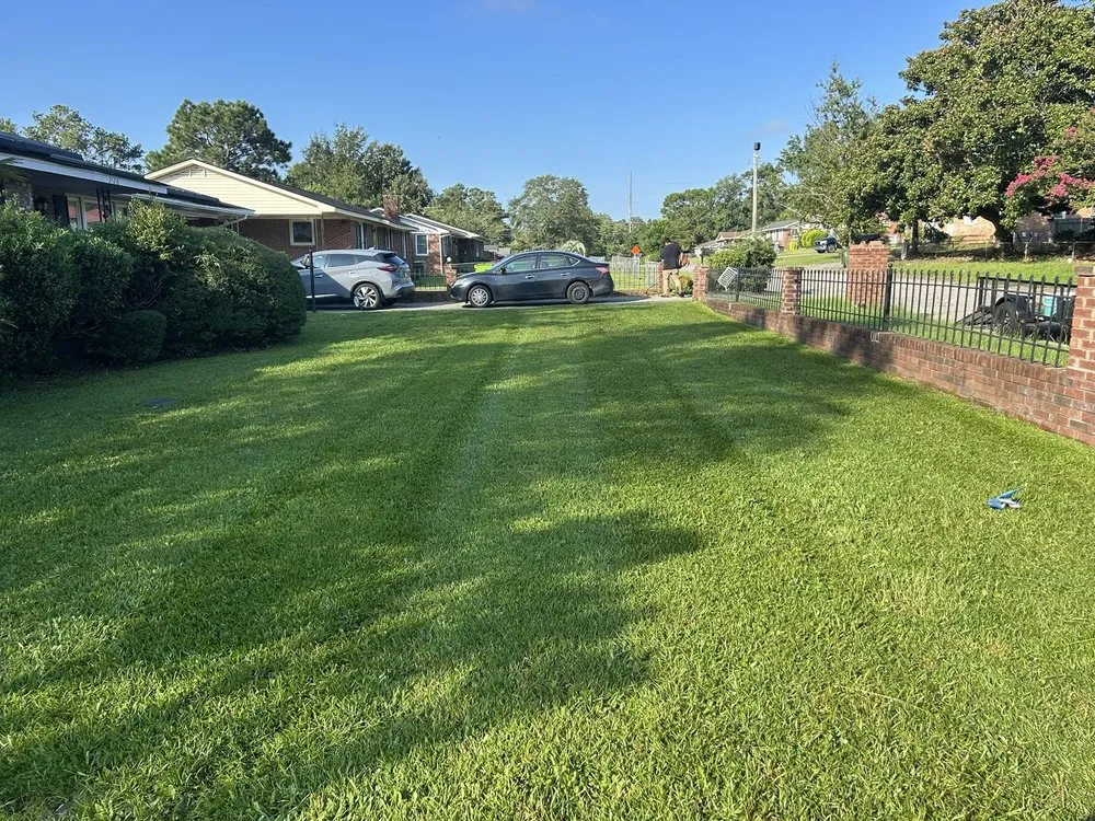 Trusted landscaping services near you across Columbia, SC - Lawn & Order Southern Division