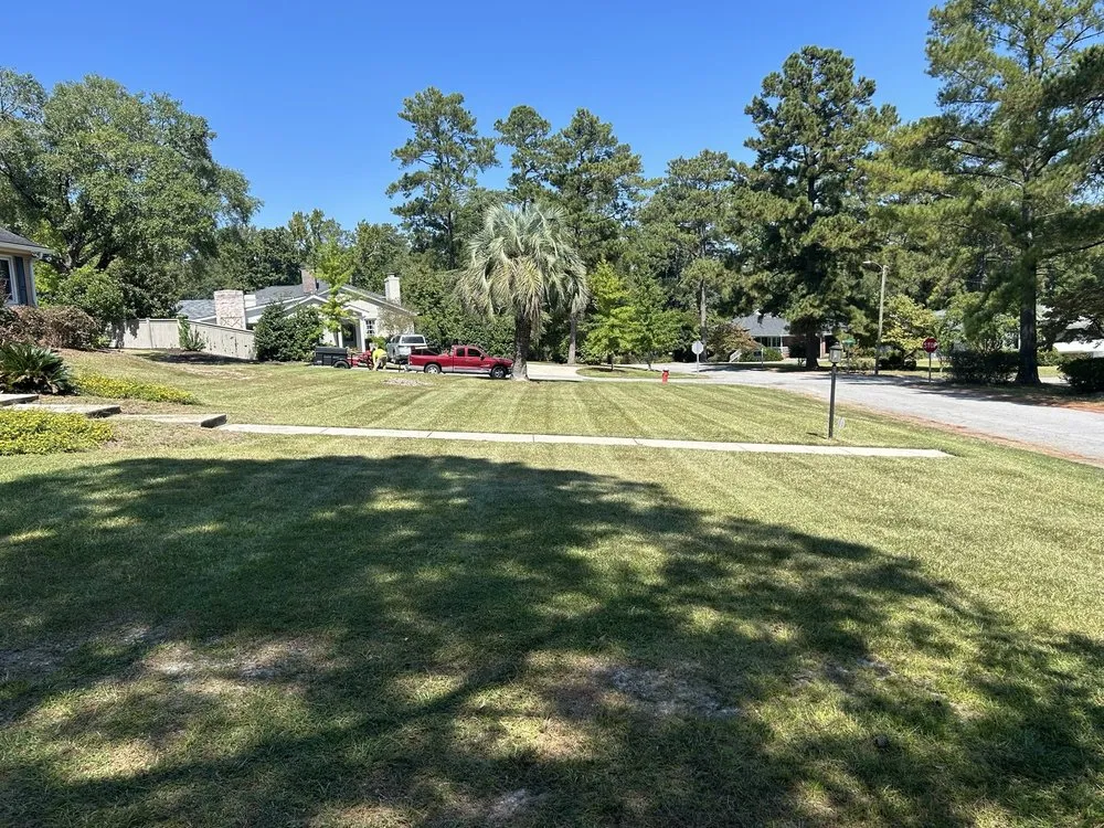 Custom yard maintenance near you in Columbia, SC by Lawn & Order Southern Division