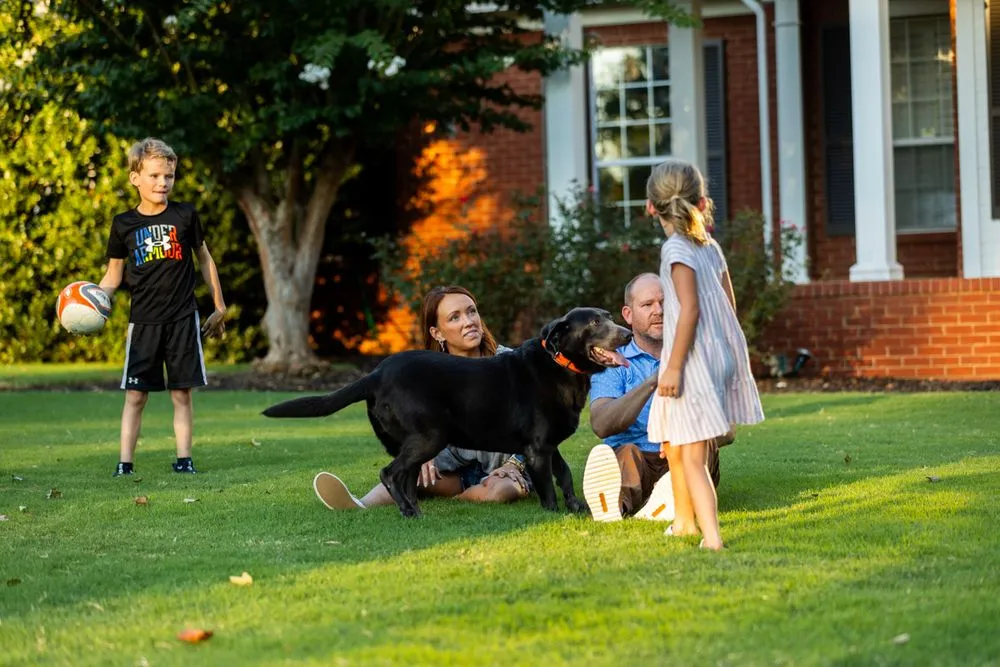 Reliable residential landscaping experts serving New Albany, MS - Lawn & Pest Solutions