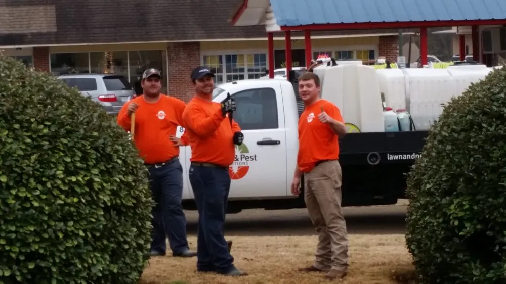 Affordable lawn care service for year-round maintenance across New Albany, MS - Lawn & Pest Solutions