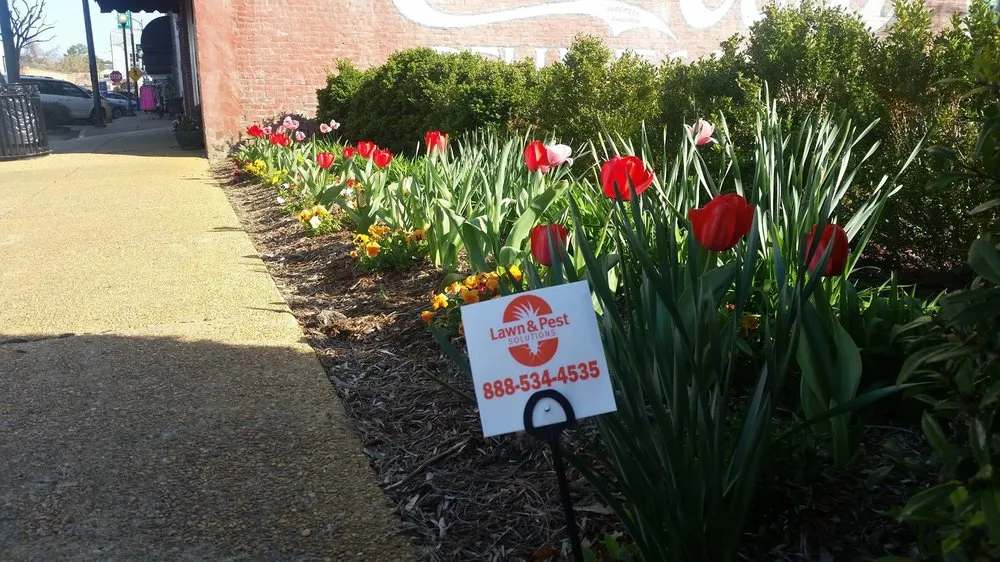 Trusted garden landscaping for beautiful yards across New Albany, MS - Lawn & Pest Solutions