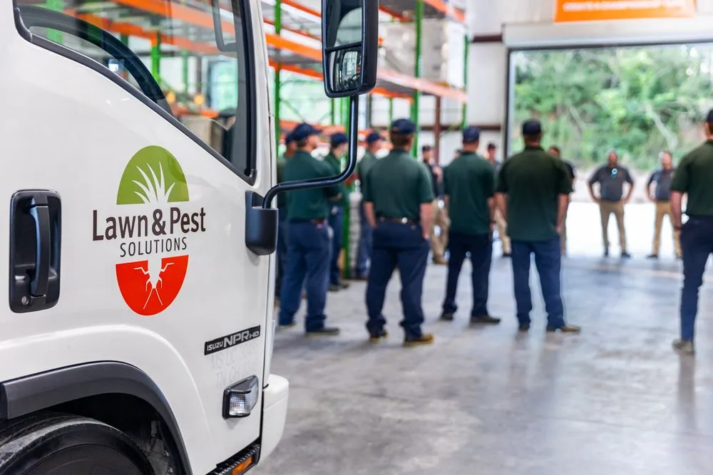 Top-rated lawn care service with custom design in New Albany, MS by Lawn & Pest Solutions