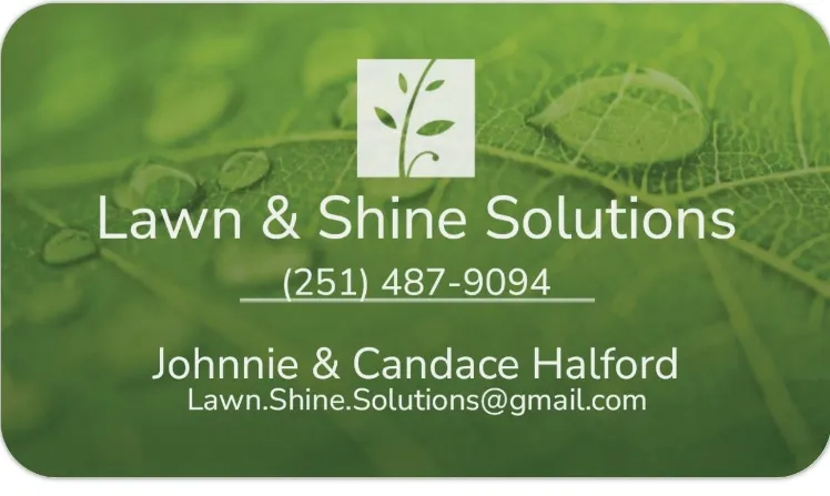 Top-rated lawn care service near you in Theodore, AL by Lawn & Shine Solutions