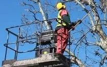 Local outdoor landscaping in Minneapolis, MN by Lawn & Snow Solutions