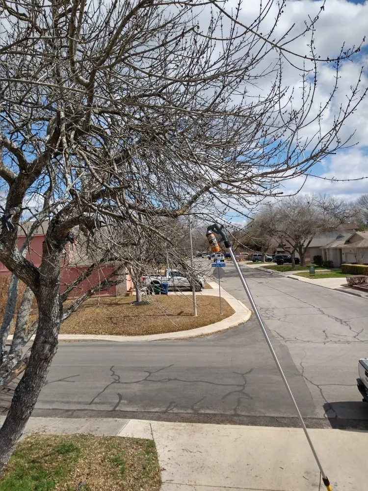 Professional landscape installation experts serving San Antonio, TX - Lawn & Tree Brothers