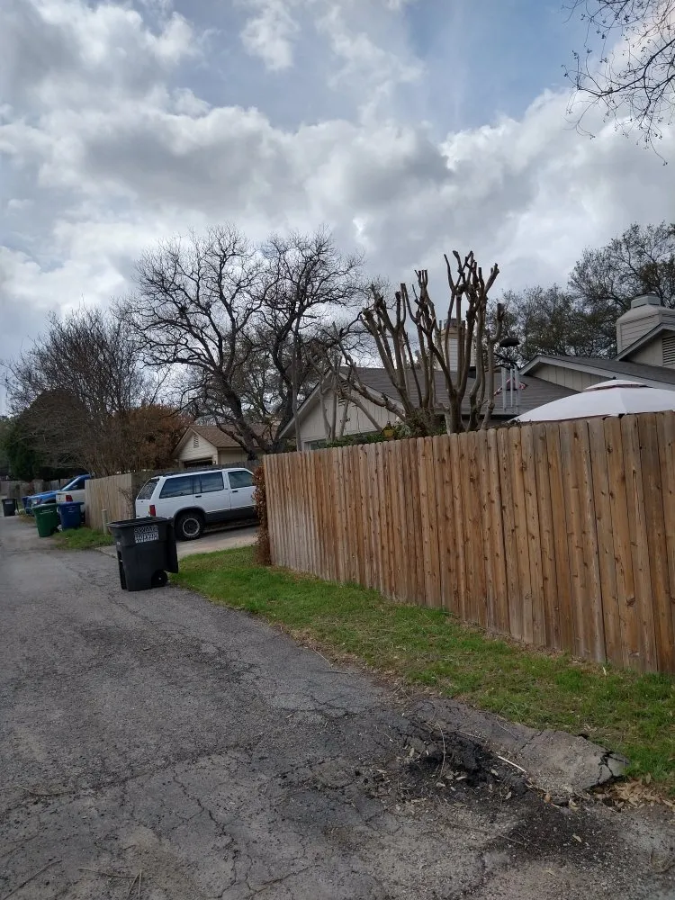 Expert outdoor landscaping in San Antonio, TX - Lawn & Tree Brothers