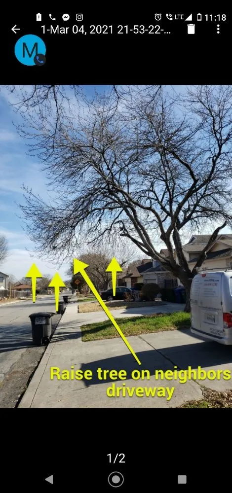 Expert outdoor landscaping for residential properties across San Antonio, TX - Lawn & Tree Brothers