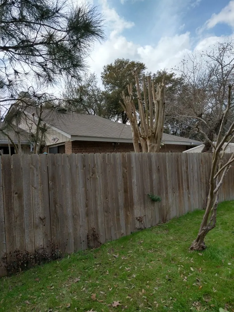 Local outdoor landscaping in San Antonio, TX by Lawn & Tree Brothers