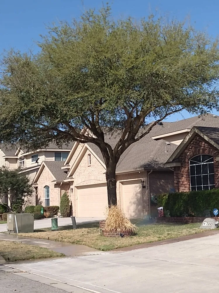 Top-rated landscape design in San Antonio, TX by Lawn & Tree Brothers