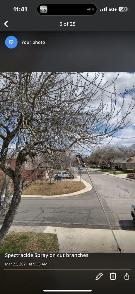 Expert yard cleanup service experts serving San Antonio, TX - Lawn & Tree Brothers