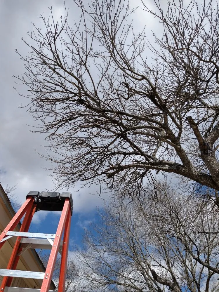 Custom landscape installation for residential properties across San Antonio, TX - Lawn & Tree Brothers