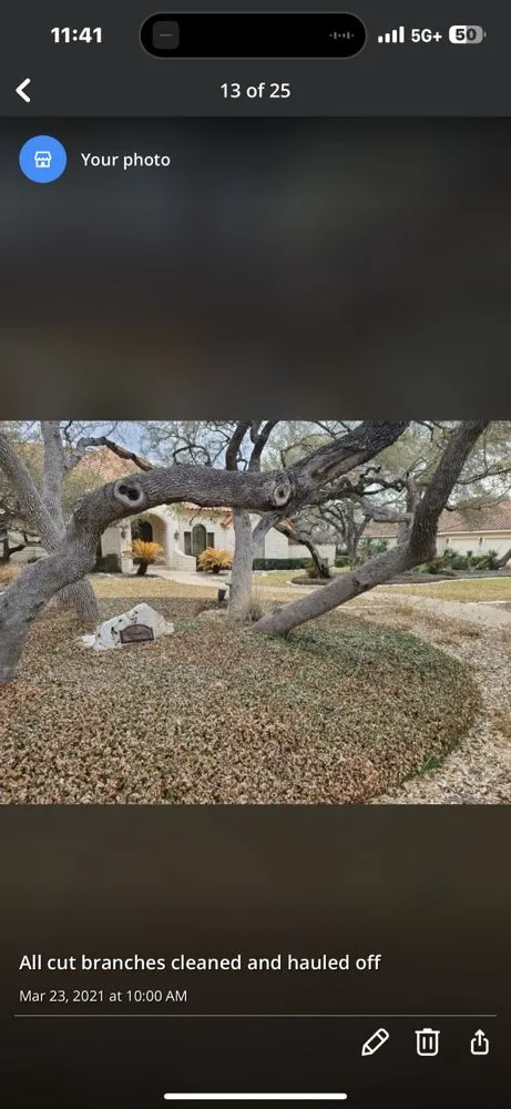 Reliable garden landscaping in San Antonio, TX - Lawn & Tree Brothers