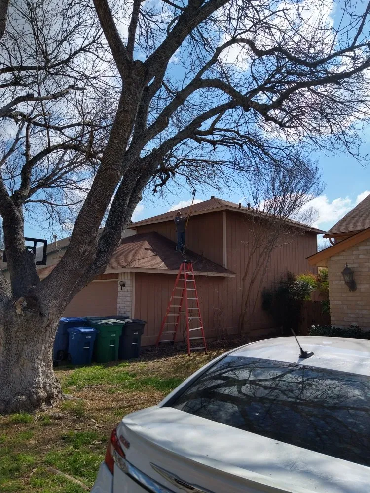 Expert lawn care service in San Antonio, TX by Lawn & Tree Brothers