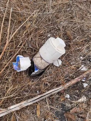 Lawn & Tree Brothers Logo