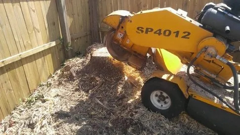 Reliable outdoor landscaping experts serving Pinellas Park, FL - Lawn & Tree Salon