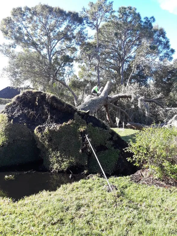 Custom landscape installation experts serving Pinellas Park, FL - Lawn & Tree Salon