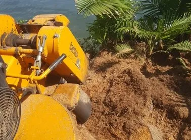 Professional lawn mowing service for residential properties in Pinellas Park, FL by Lawn & Tree Salon