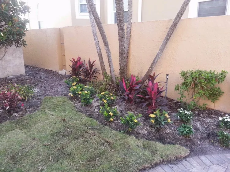 Professional landscape installation experts serving Pinellas Park, FL - Lawn & Tree Salon