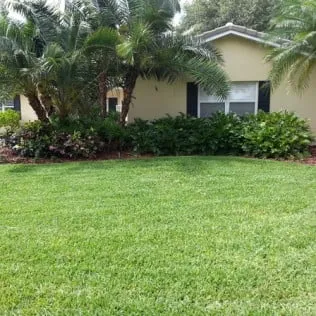 Professional lawn mowing service in Pinellas Park, FL by Lawn & Tree Salon