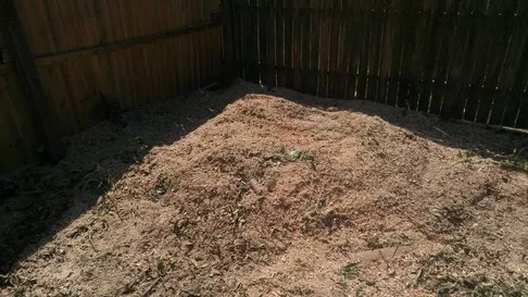 Affordable garden landscaping experts serving Pinellas Park, FL - Lawn & Tree Salon