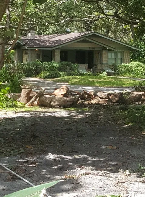 Top-rated yard maintenance in Pinellas Park, FL by Lawn & Tree Salon